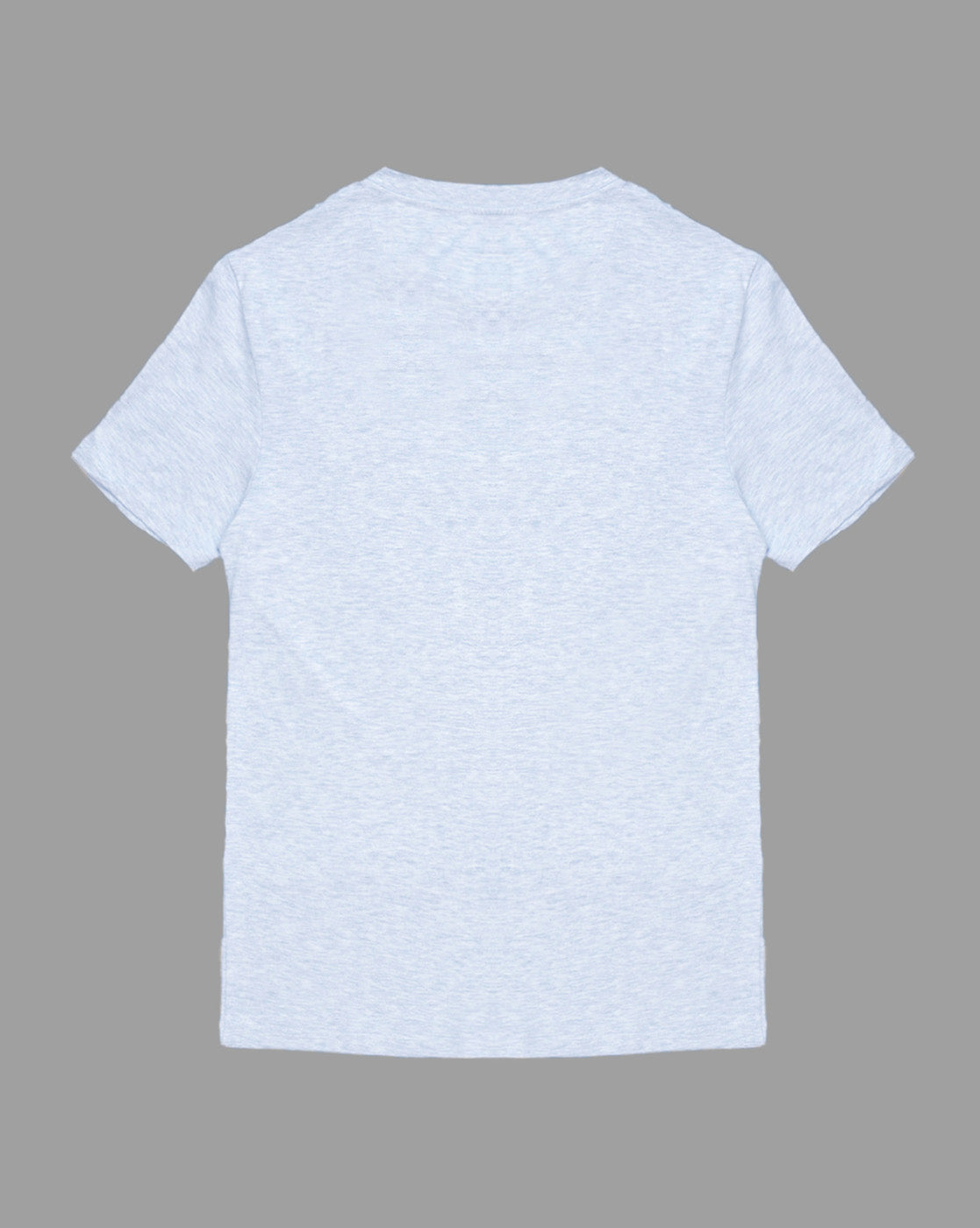 Men Grey Regular Fit Tshirt
