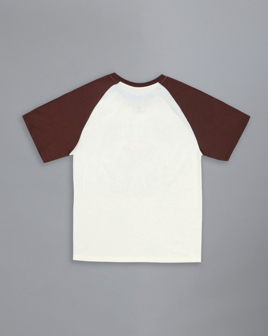 Lion King Printed Regular Fit Raglan Sleeves Tshirt For Women