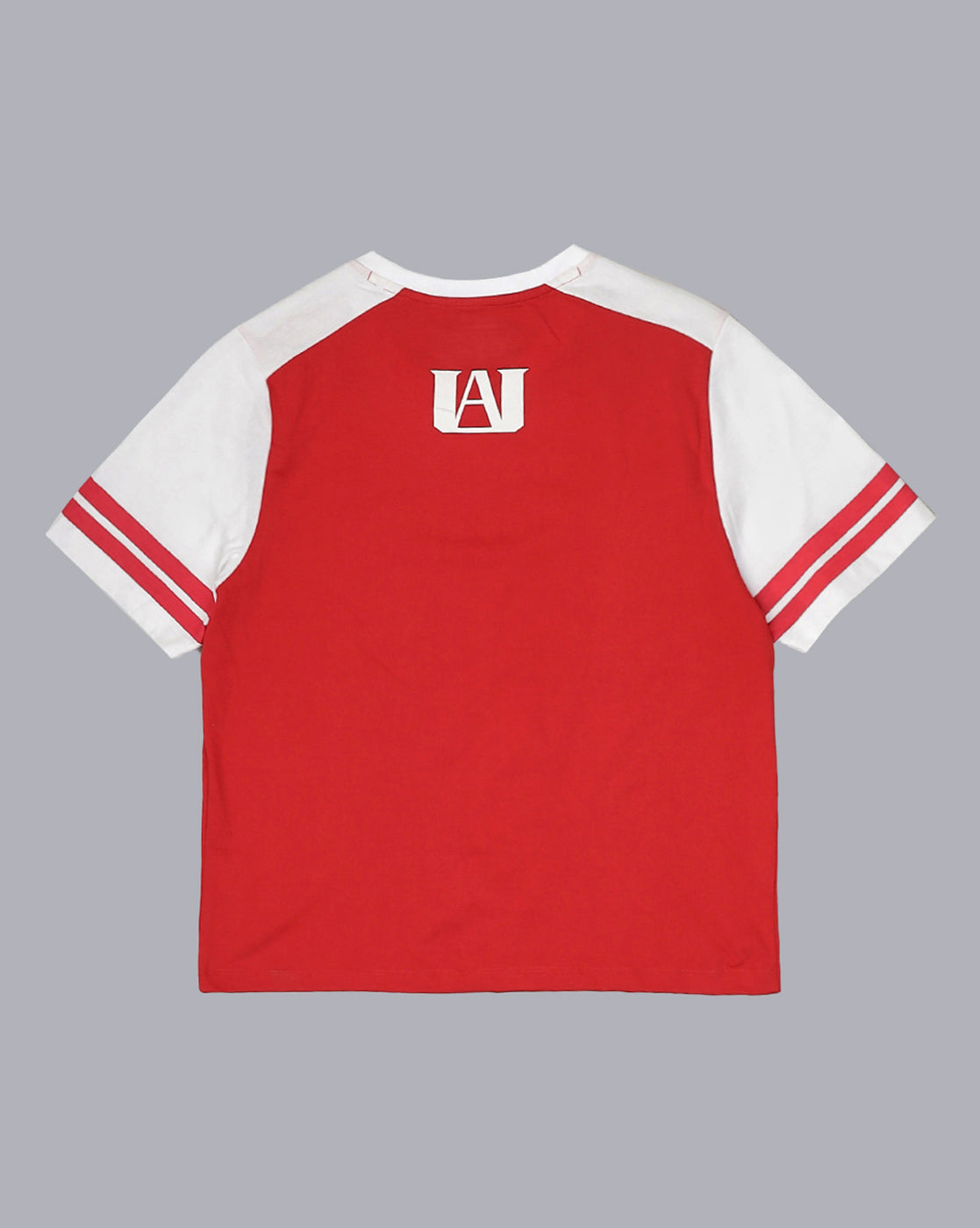 My Hero Academia Printed Regular Fit Tshirt For Women