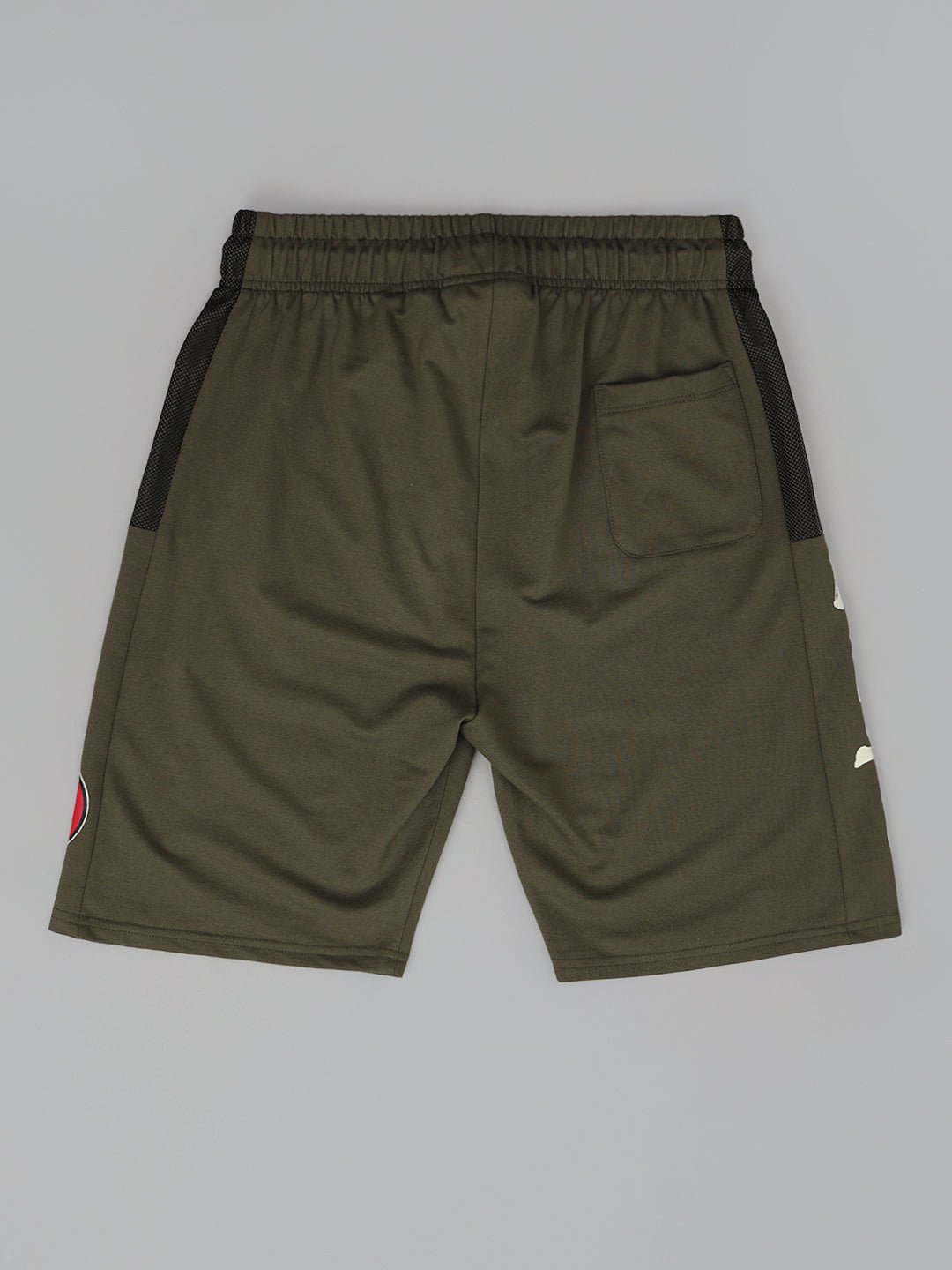 Naruto Printed Regular Fit Shorts For Men