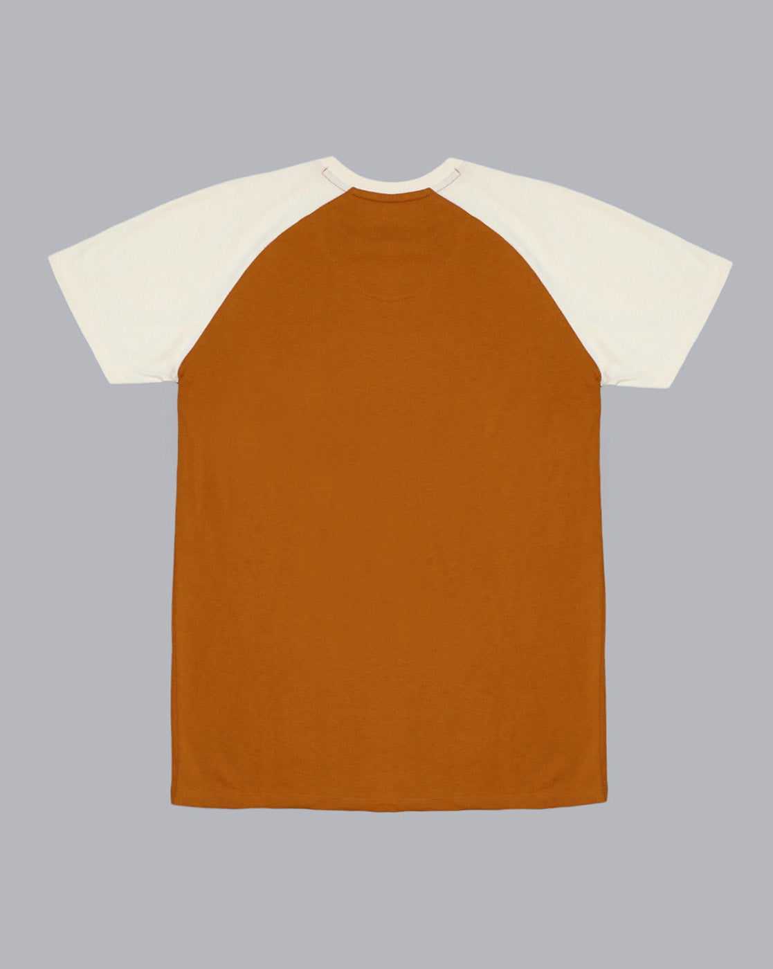 One Piece Printed Regular Fit Tshirt For Men