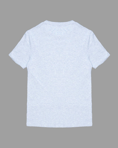 Men Grey Regular Fit Tshirt
