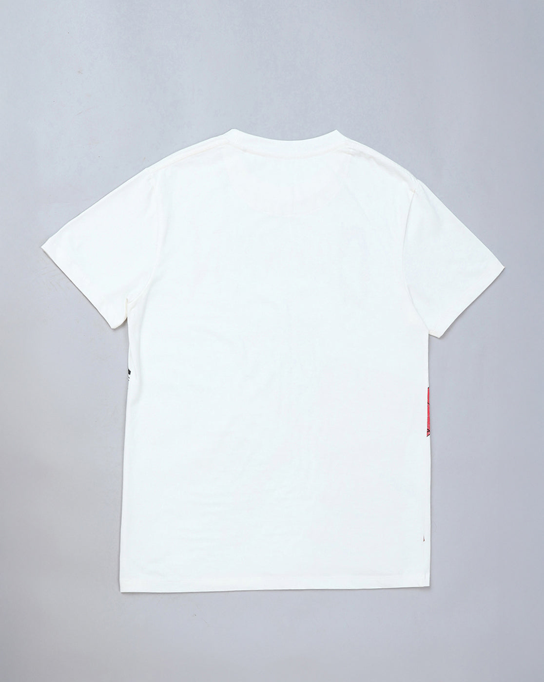 Chainsaw Man Printed Regular Fit Tshirt For Men